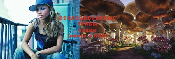 круглые Алексин